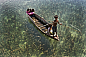 是马来西亚小镇Semporna一群划舟的孩子，像是在天空游荡。
