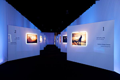 Mo-pantene采集到活动展板