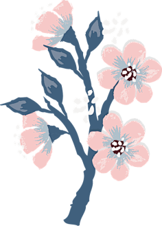 __葉○采集到花草