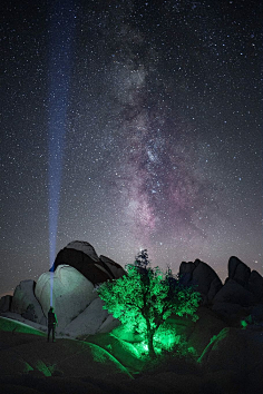 HaleyComet采集到星月夜
