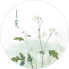 一方薄凉采集到花绘