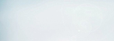 叶之无舞蝶采集到【海报banner】文艺/清新/简约