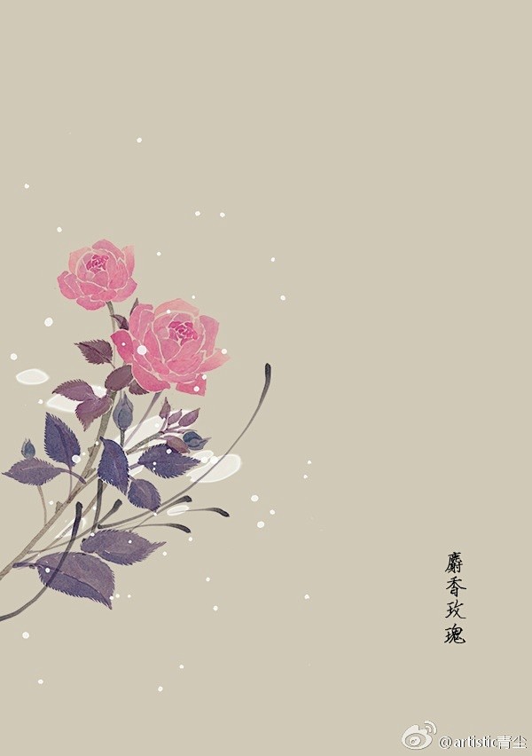 365天生日花 2月25日麝香玫瑰 Must Rose 花语 善变