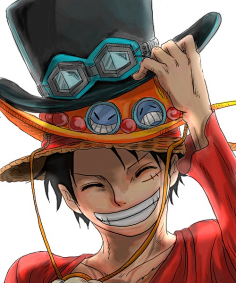 One Piece 花瓣网 陪你做生活的设计师 海贼王