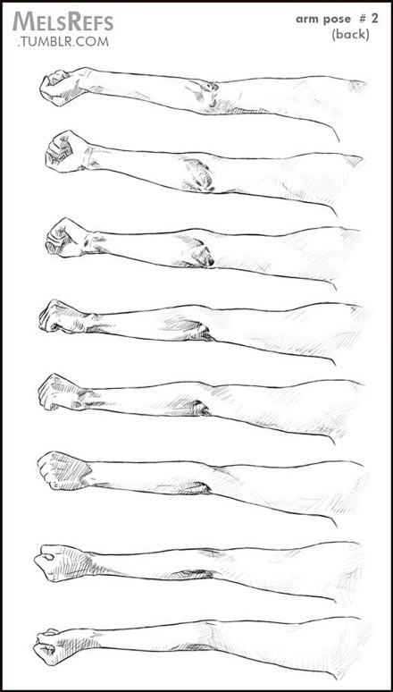 绘画参考当手臂屈肘旋转的动图过程参考手肘也是个难点啊