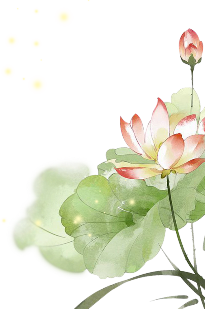 荷花莲花png免抠素材莲花