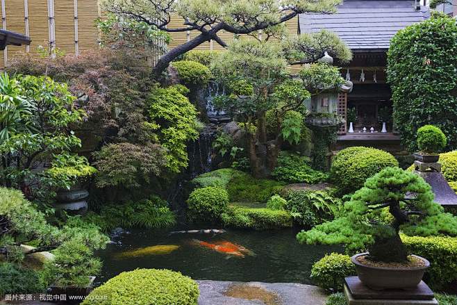 日式自然錦鯉小水景