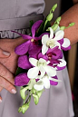 Fancy wrist corsage - fuchsia orchid for my wedding bridesmaids in Bali