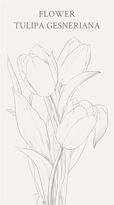 一只受伤的设计采集到插画
