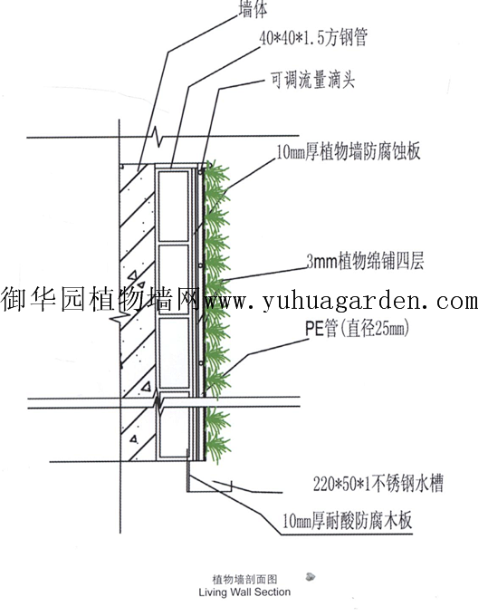 墙面绿化构造图片