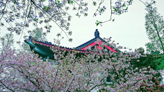 贼沓兮兮小磨菇采集到人在旅途