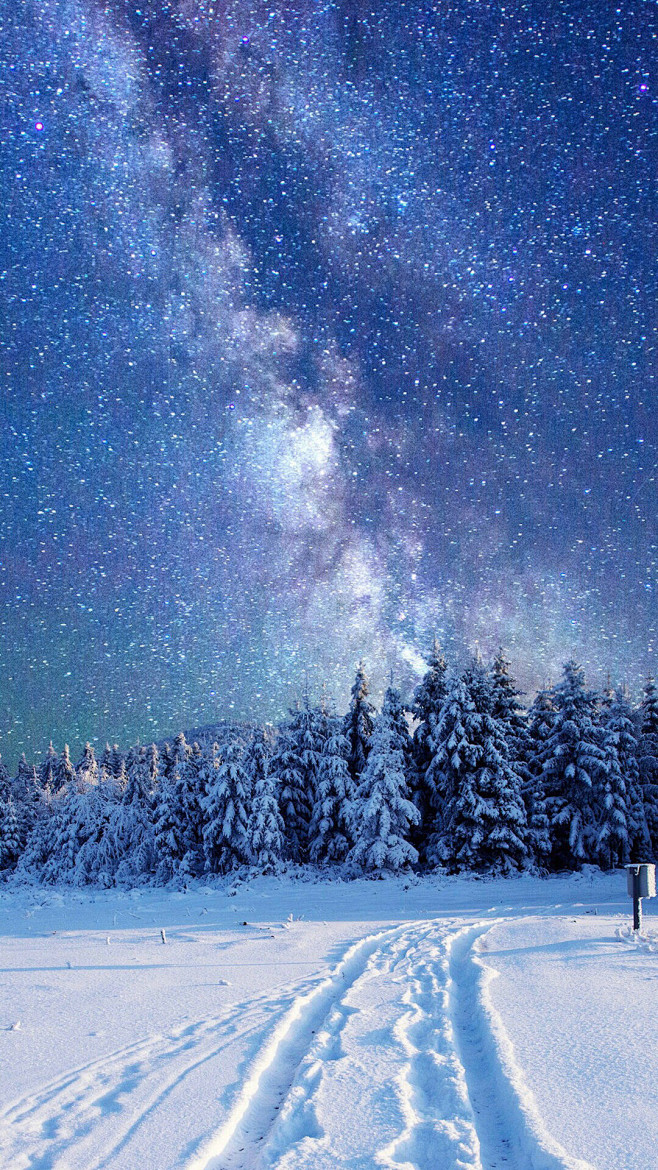 雪地图片大全背景图片