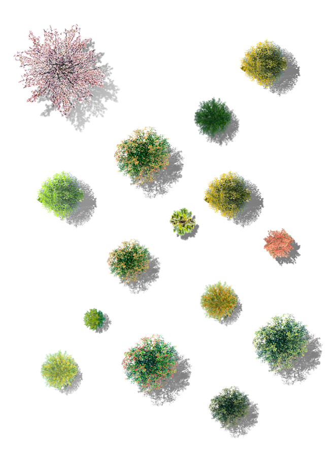 1立体树平面素材