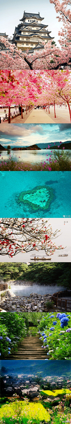 花瓣采集到人文地理
