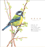 小羊乖乖采集到绘画
