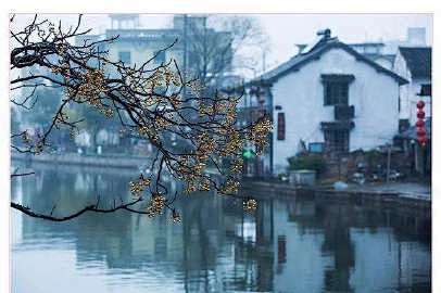 简单是福采集到时光旅途