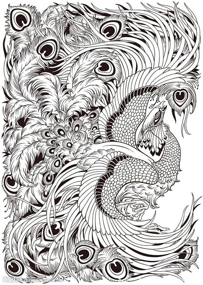 转采于2020-02-24 19:07:37凤凰线稿插画王的手创-谷风同采自www.