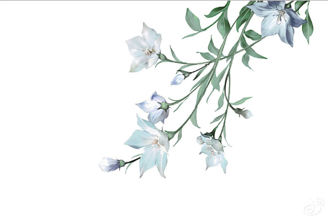 精美古风花朵免抠