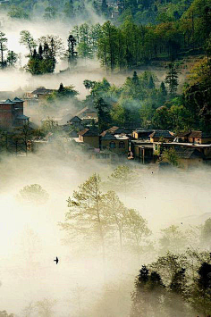 夏明采集到景色