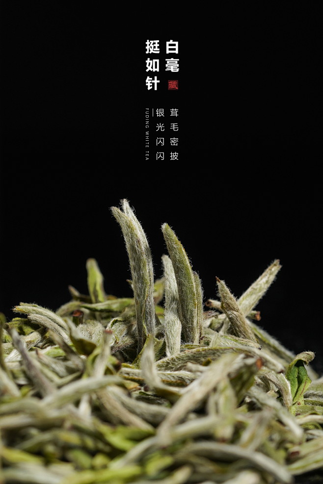 昱鹤福鼎白茶白毫银针磻溪高山头采特级春茶散茶明前礼盒罐装50g淘宝