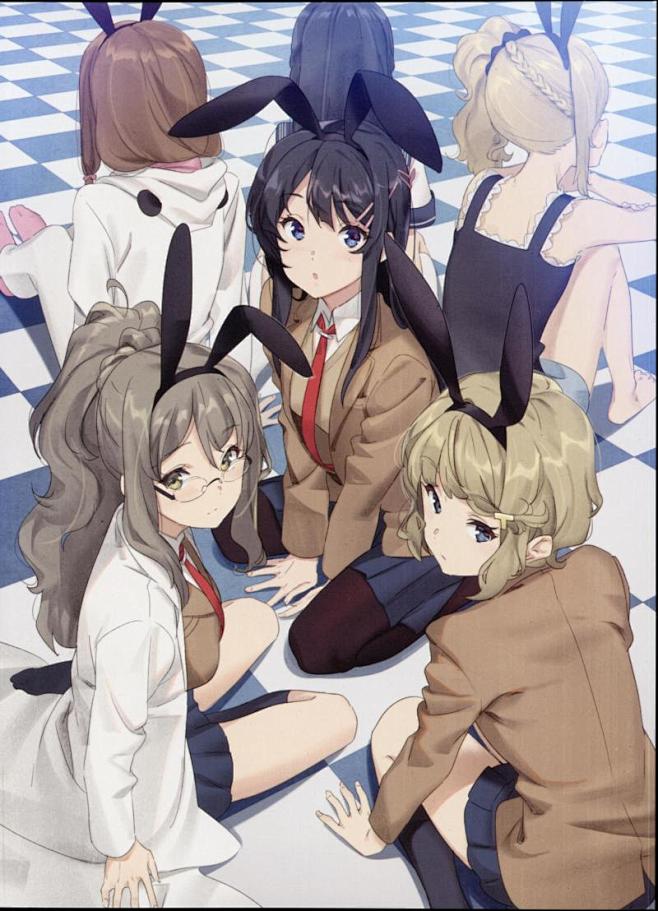 青春猪头少年不会梦到兔女郎学姐seishunbutayarouwabunnygirlsenpai