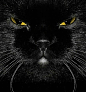 黑猫之眼 ​​​​
