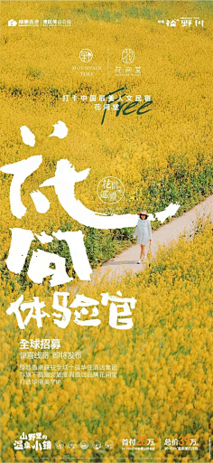 想养一条狗采集到「广告∶创意」