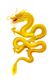 金龙中国龙飞龙龙腾龙纹中国风免抠png元素素材查看来源浏览大图