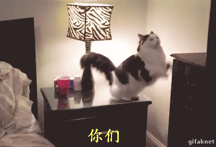 小妖Sika采集到可爱GIF