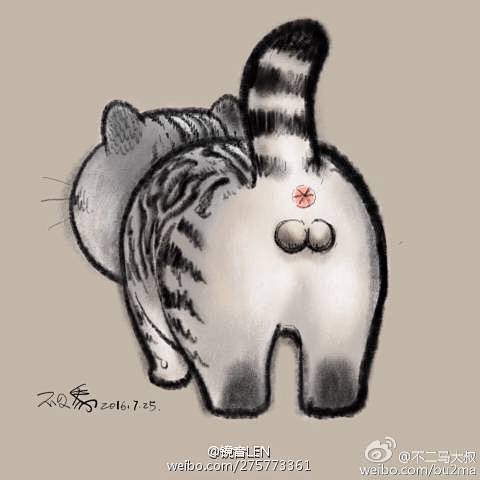 不二马猫蛋蛋图片