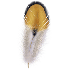 elementfeather羽毛