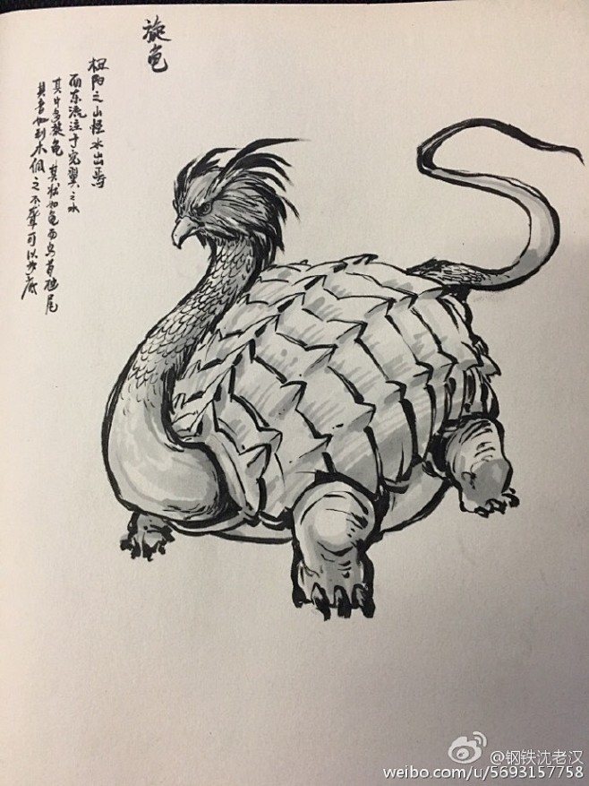 熊掌和鱼l从-银时-转采于2020-04-30 14:36:32山海经 旋龟山海经异兽