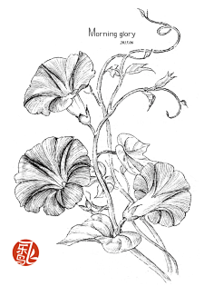 飞乐鸟采集到飞乐鸟插画篇