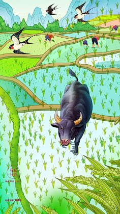 墨墨DD采集到插画