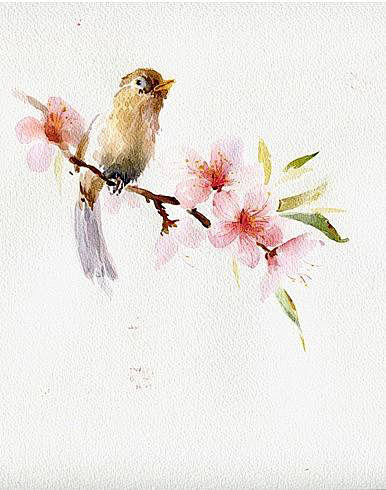 水彩花鸟图-花瓣网|陪你做生活的设计师