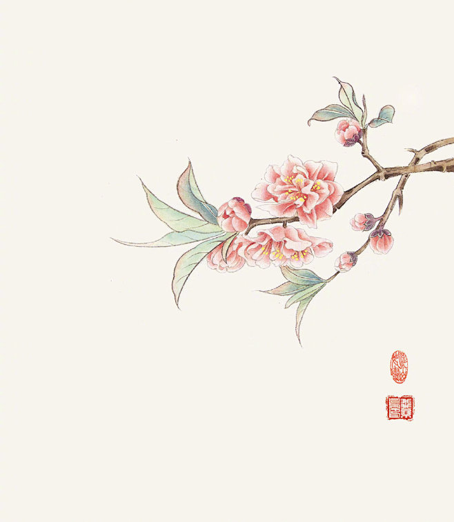 花草张大千国画工笔古风