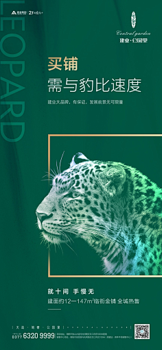 DH-ZHANG采集到海报/创作