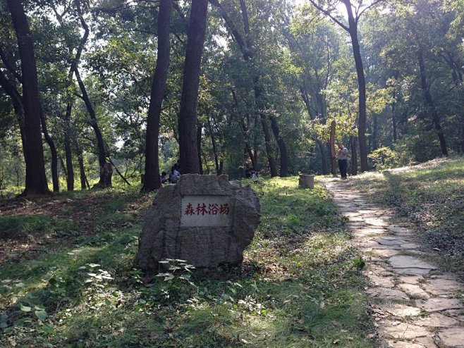 淮南-八公山國家地質公