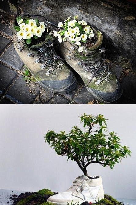 山岗军采集到怎么喜欢你diy 【旧鞋子的新用途:变身花盆来种花】一位