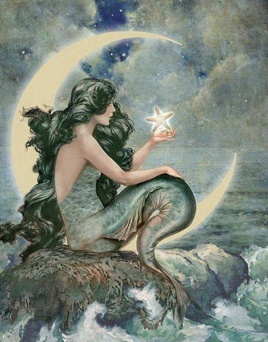 17:10:03美人鱼 龙女 水中精灵美物小帅溪该采集也在以下画板加载更多