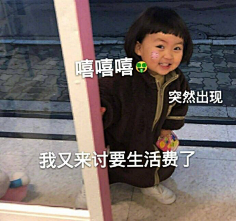 吾名燕采集到表情包