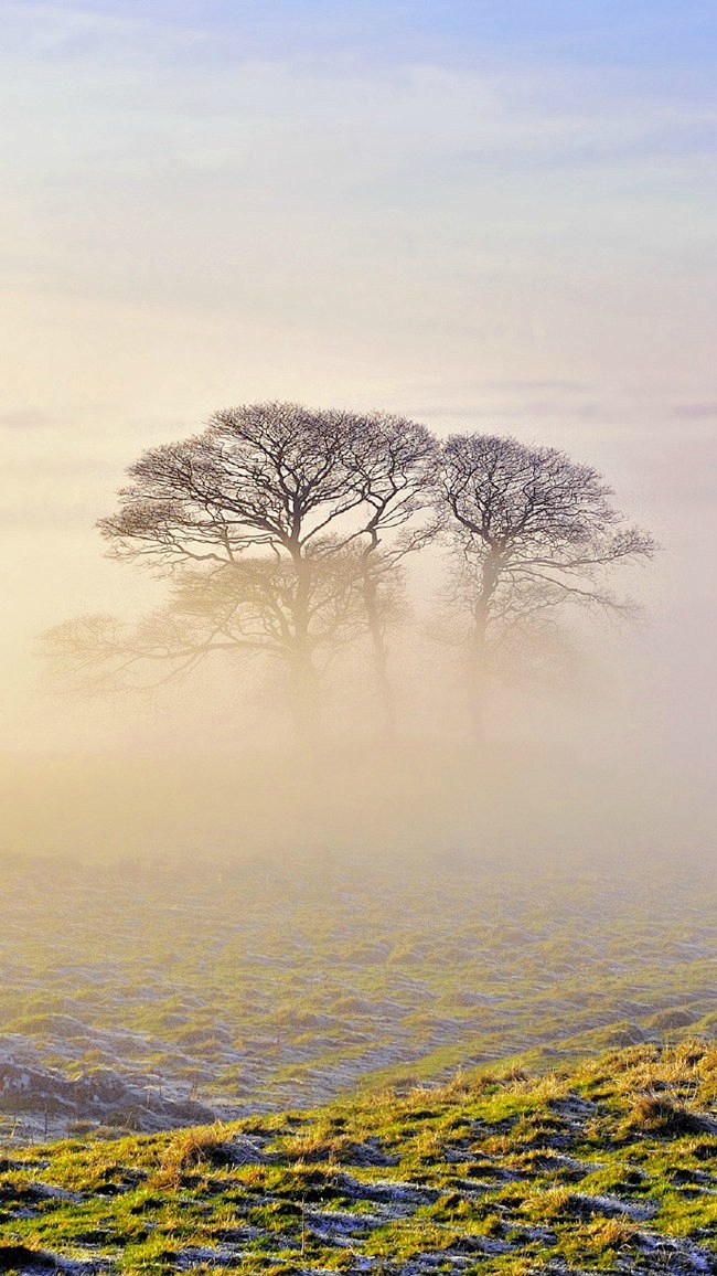 雾气环绕的唯美意境风景图片