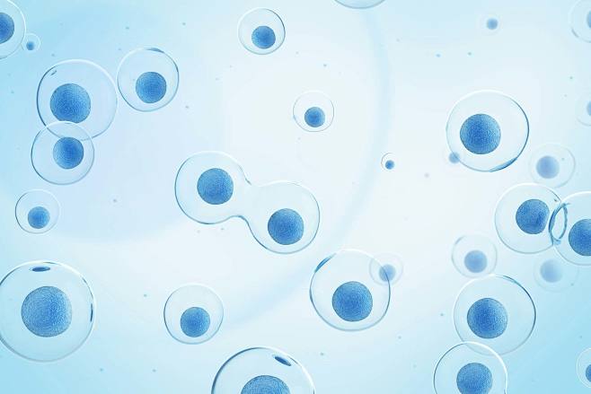 cell的图片搜索结果