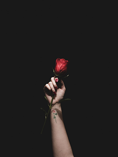 手握玫瑰花流血图片图片