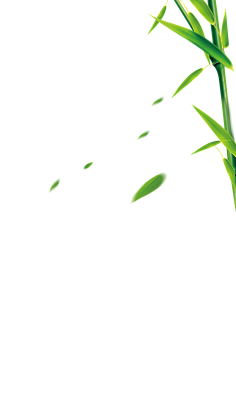 无e不设采集到植物