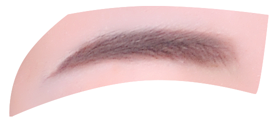 证件照素材五官眉毛素材五官素材1眉毛女