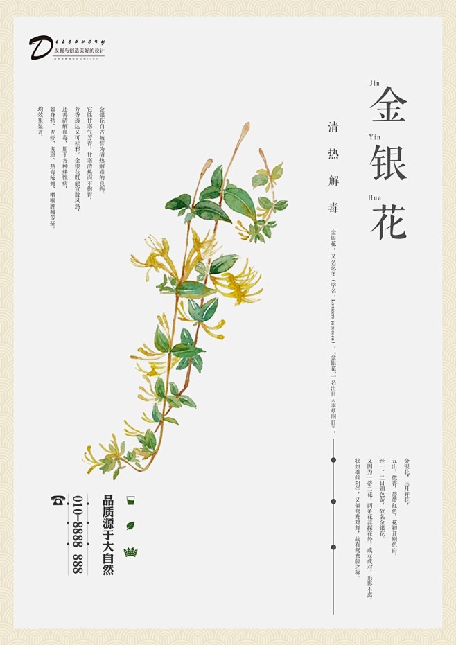 点击下载源文件金银花金银花中药金银花海报金银花图片金银花草药金银花药方金银花包装金银花展板金银花泡茶野生金银花金银花插画金银花茶金银花花茶灵芝当归枸杞 虎鞭人参石斛麦冬东洋参何首乌北沙参杜仲中医中药海报草药药材药店