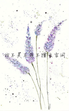 夏之日冬之夜采集到(.>__<.) 只言片语