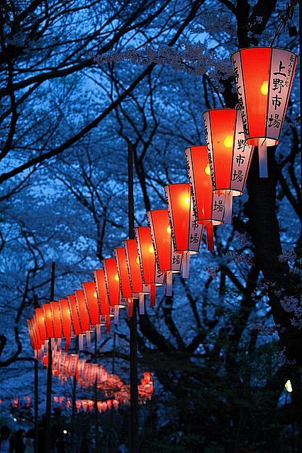 lantern festival ~ j.