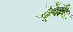 飞天胖虎采集到【海报banner】文艺/清新/简约